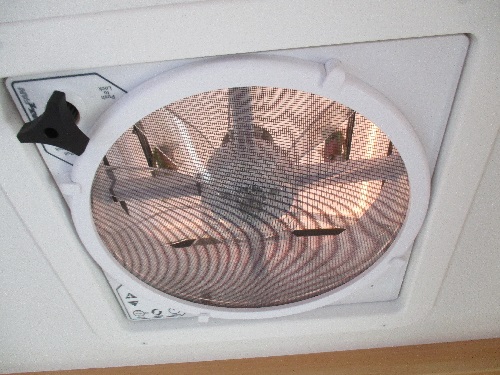 fan